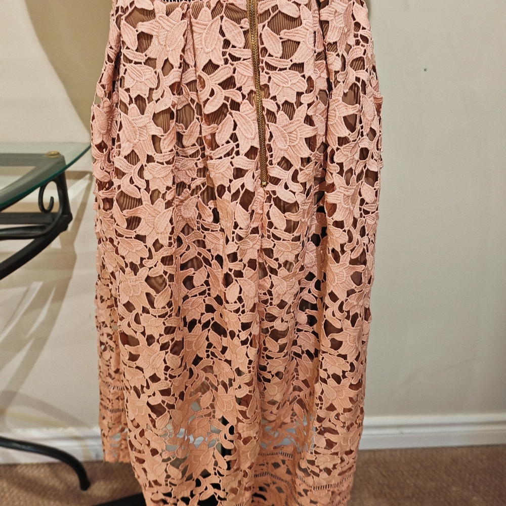 Self-Portrait Blush Pink Lace Midi Dress - Picture 15 of 16